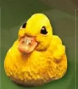 0521 0521