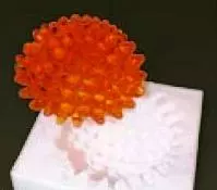 0922 0922