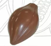 CF 0101