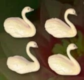 0557 0557