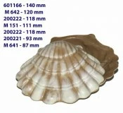 601166, M 642, 200222, M 151, 200221, M 641 601166, M 642, 200222, M 151, 200221, M 641