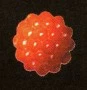 CDR 1009 CDR 1009