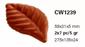 1239.jpg