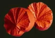 Е1 Е1