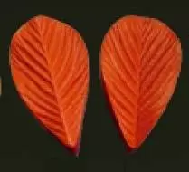 Е10 Е10
