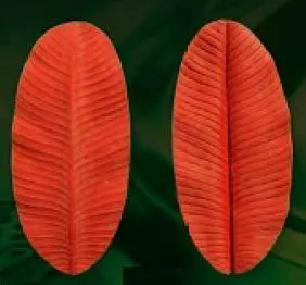 Е101 Е101