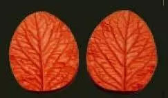 Е12 Е12