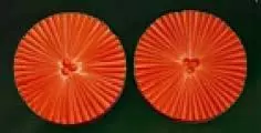 E19 E19