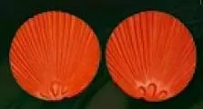 E20 E20