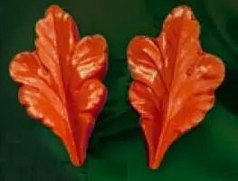 E22 E22