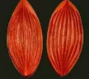 E40 E40