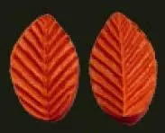 Е62 Е62