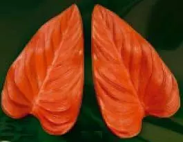 Е71 Е71