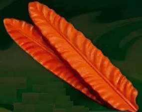 Е72 Е72