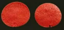 Е78 Е78