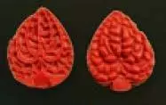 Е85 Е85